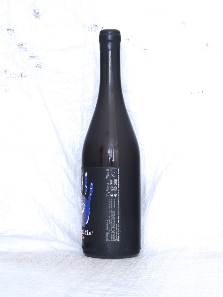 Lammidia
2B 2024 0,75L Bio Orange Wein aus Italien.