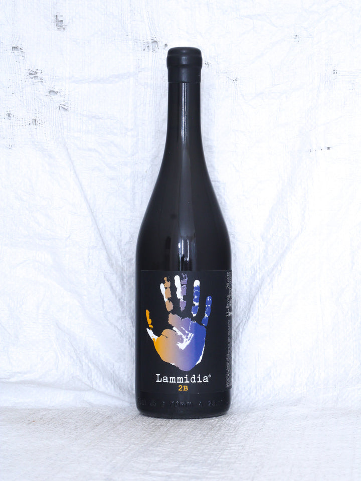 Lammidia
2B 2024 0,75L Bio Orange Wein aus Italien