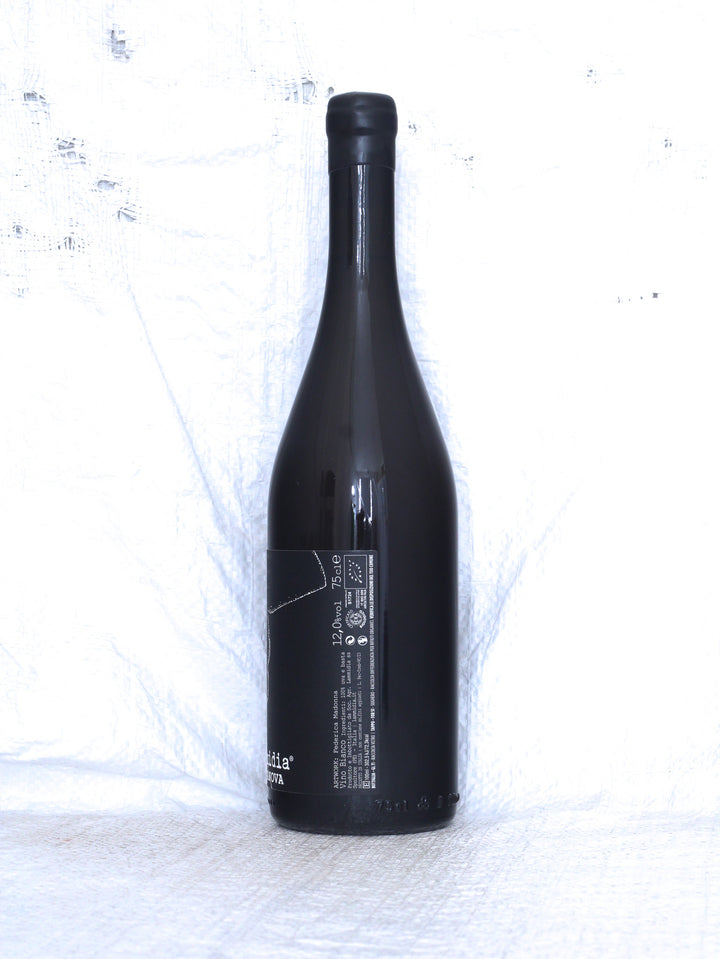 Lammidia
Casanova 2023 0,75L Bio