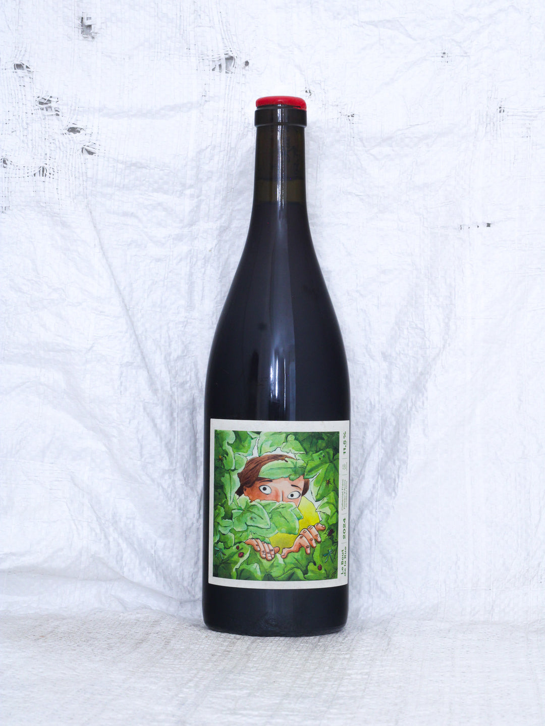 Le Bout de la Rue 2024 von François Saint-Lô – Bio Naturwein aus der Loire in Frankreich mit Vorderetikett.