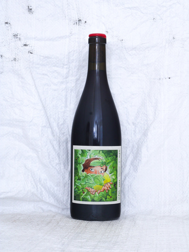 Le Bout de la Rue 2024 von François Saint-Lô – Bio Naturwein aus der Loire in Frankreich mit Vorderetikett.