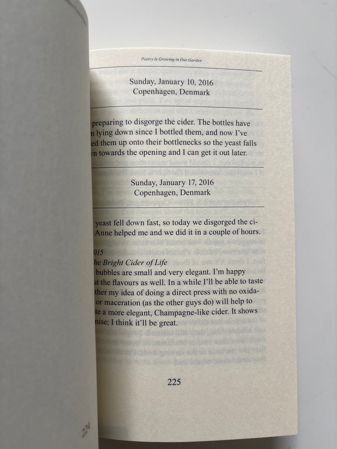 Poetry is growing in our Garden by Anders Frederik Steen - inside book