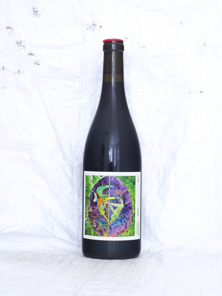 Unis de Bois Guyon 2023 von François Saint-Lô – Bio Naturwein aus der Loire in Frankreich mit Vorderetikett.