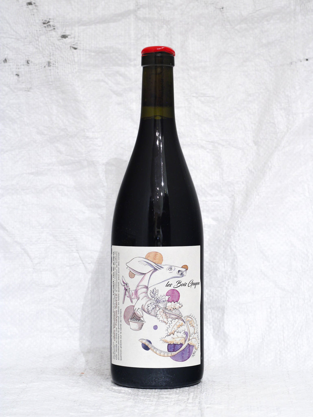 Vorderansicht der Flasche François Saint-Lô Le Bois Guyon 2019. Ein tiefgründiger Cabernet Franc aus der Einzellage Le Bois Guyon in Berrie, Loire. Handwerklicher Naturwein, unfiltriert und ohne Schwefelzusatz.